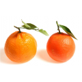 CLEMENTINE / MANDARINE